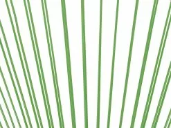 Beliani Narutuoli Polyrottinki Vihreä 2 Kpl ACAPULCO II -Ulkokalusteet shop undef src sa picid 795214 type whitesh image scaled