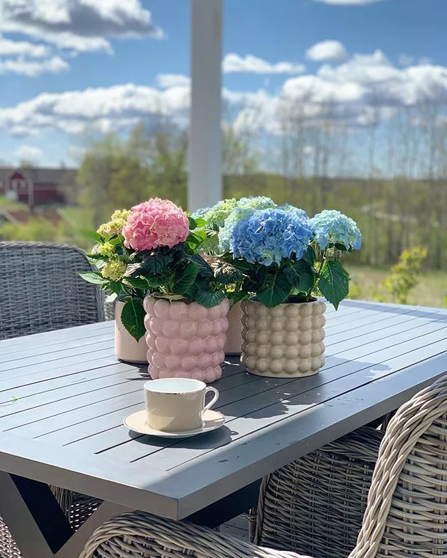 Beliani 6-istuttava Ulkoruokailuryhmä Polyrottinki Harmaa CASCAIS 7 Beliani 6-istuttava Ulkoruokailuryhmä Polyrottinki Harmaa CASCAIS - Image 7