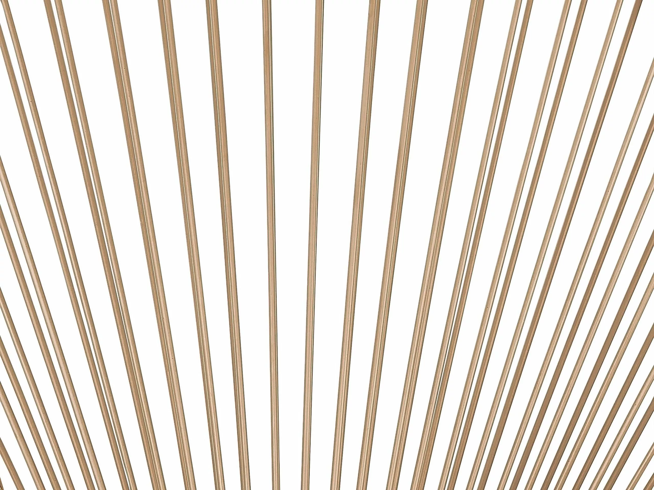 Beliani Narutuoli Polyrottinki Luonnonväri 2 Kpl ACAPULCO II - Image 9