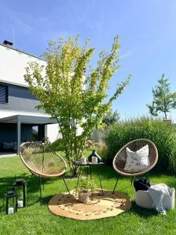 Beliani Narutuoli Polyrottinki Luonnonväri 2 Kpl ACAPULCO II -Ulkokalusteet shop undef src sa picid 828288 type whitesh image scaled