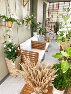 Beliani 4-istuttava Ulkosohvaryhmä Akasiapuu Valkoinen BERMUDA 17 Beliani 4-istuttava Ulkosohvaryhmä Akasiapuu Valkoinen BERMUDA -Ulkokalusteet shop undef src sa picid 828674 type whitesh image 1 scaled