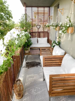 Beliani 4-istuttava Ulkosohvaryhmä Akasiapuu Valkoinen BERMUDA 19 Beliani 4-istuttava Ulkosohvaryhmä Akasiapuu Valkoinen BERMUDA -Ulkokalusteet shop undef src sa picid 828676 type whitesh image 1 scaled